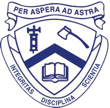 STM logo